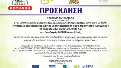 Ημερίδα 23-11-24